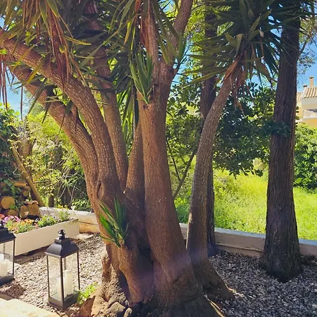 Corfu Dream House Ferienhaus *